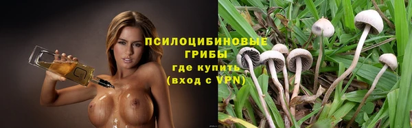 PSILOCYBIN Дмитровск