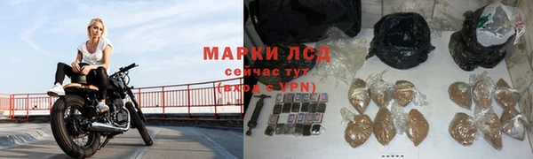 эйфоретик Дмитриев
