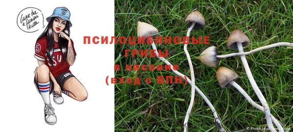 PSILOCYBIN Дмитровск