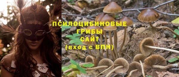 дмт Гусь-Хрустальный