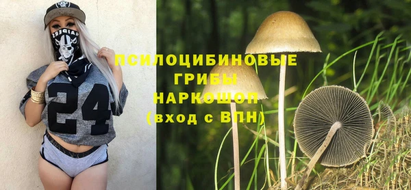 PSILOCYBIN Дмитровск