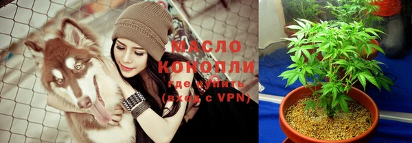 эйфоретик Дмитриев