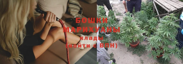 PSILOCYBIN Дмитровск