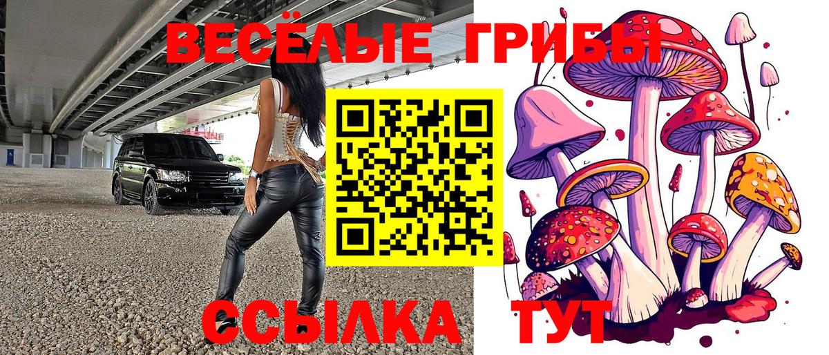 где можно купить наркотик  Вход с VPN  Вологда  Псилоцибиновые грибы Psilocybine cubensis 